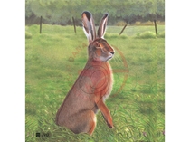 JVD Ansigt Dyr: Hare 45x53 cm