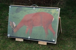 Bowhunting Targets