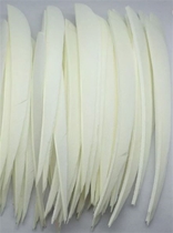 Gateway Fane Natur / Fjer 5" Parabolic White