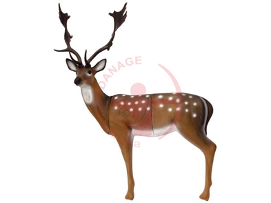 SRT 3D Fallow Deer / GROUP 1 - L140CM H90CM