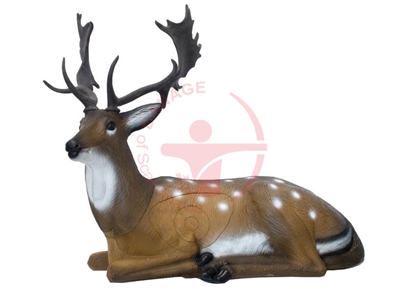 SRT 3D Fallow Deer Bedded / GROUP 2 - L110CM H62CM