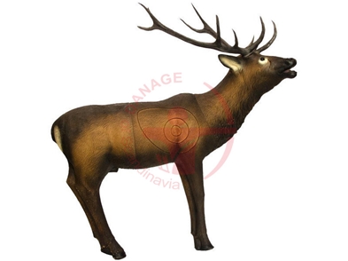 SRT 3D Elk / GROUP 1 - L175CM H115CM
