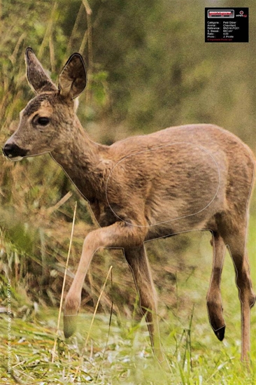 Maximal Ansigt Dyr: 40x60 Roedeer