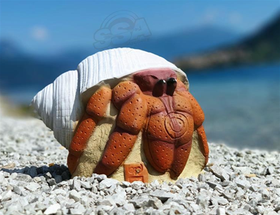 3D Hermit Crab