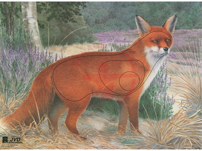 JVD Fox - Ansigt 68x50 cm