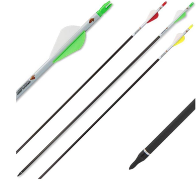 Skylon Pil Carbon FAST WING 30" Komplet