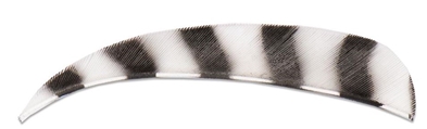 Gateway 4" Barred Parabolik Faner