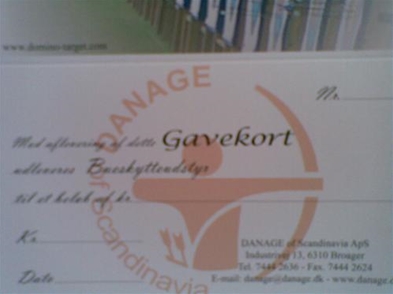 Gavekort 100