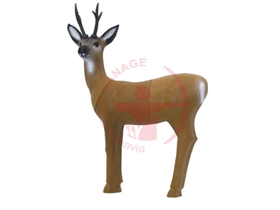 SRT 3D Roe Deer / GROUP 3 - L87CM H66CM