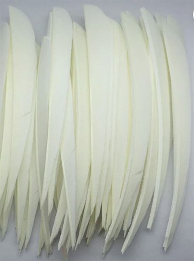 Gateway Fane Natur / Fjer 5" Parabolic White