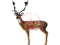 SRT 3D Fallow Deer / GROUP 1 - L140CM H90CM